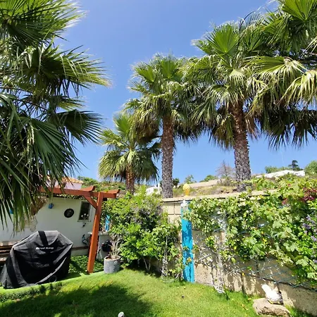 Typical Canarian House Private Jacuzzi, Sauna, Gym, Conejo Taucho Adeje By Aqua Vista Tenerife 펜션 아데제