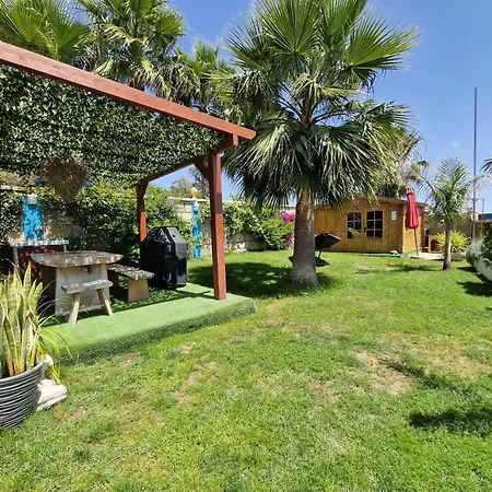Typical Canarian House Private Jacuzzi, Sauna, Gym, Conejo Taucho Adeje By Aqua Vista Tenerife 펜션 아데제
